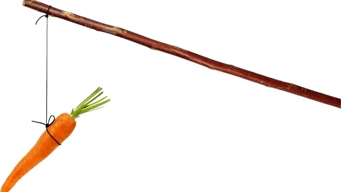 the carrot and the stick
